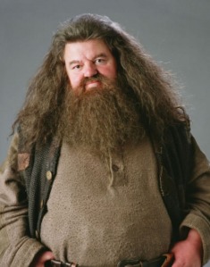 Harry Potter's Hagrid Beard